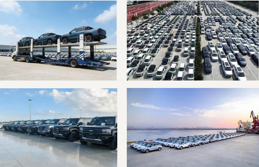 Shipping & Logistics
